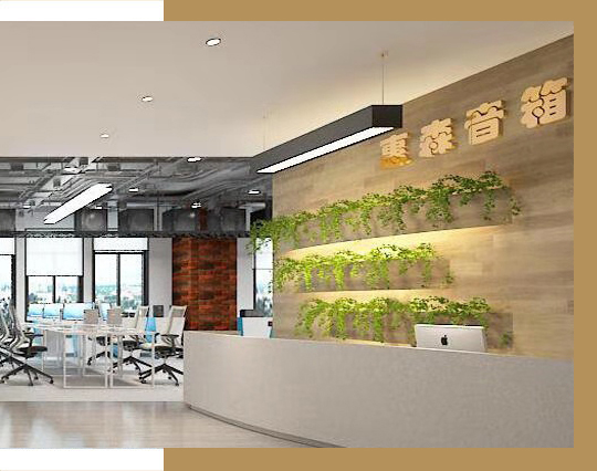 麥景龍·品牌介紹