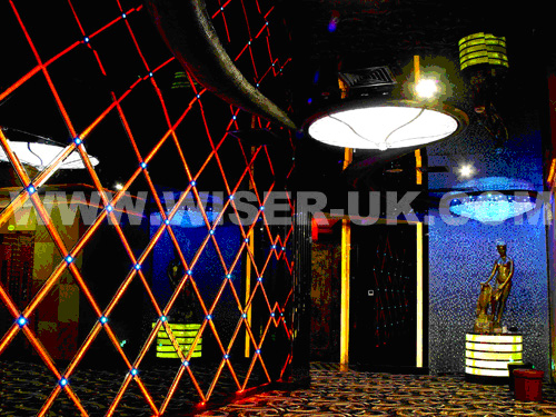 橫崗歡樂世界夜總會